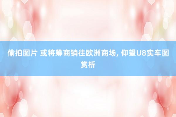 偷拍图片 或将筹商销往欧洲商场, 仰望U8实车图赏析