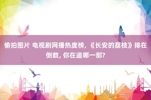 偷拍图片 电视剧网播热度榜, 《长安的荔枝》排在倒数, 你在追哪一部?